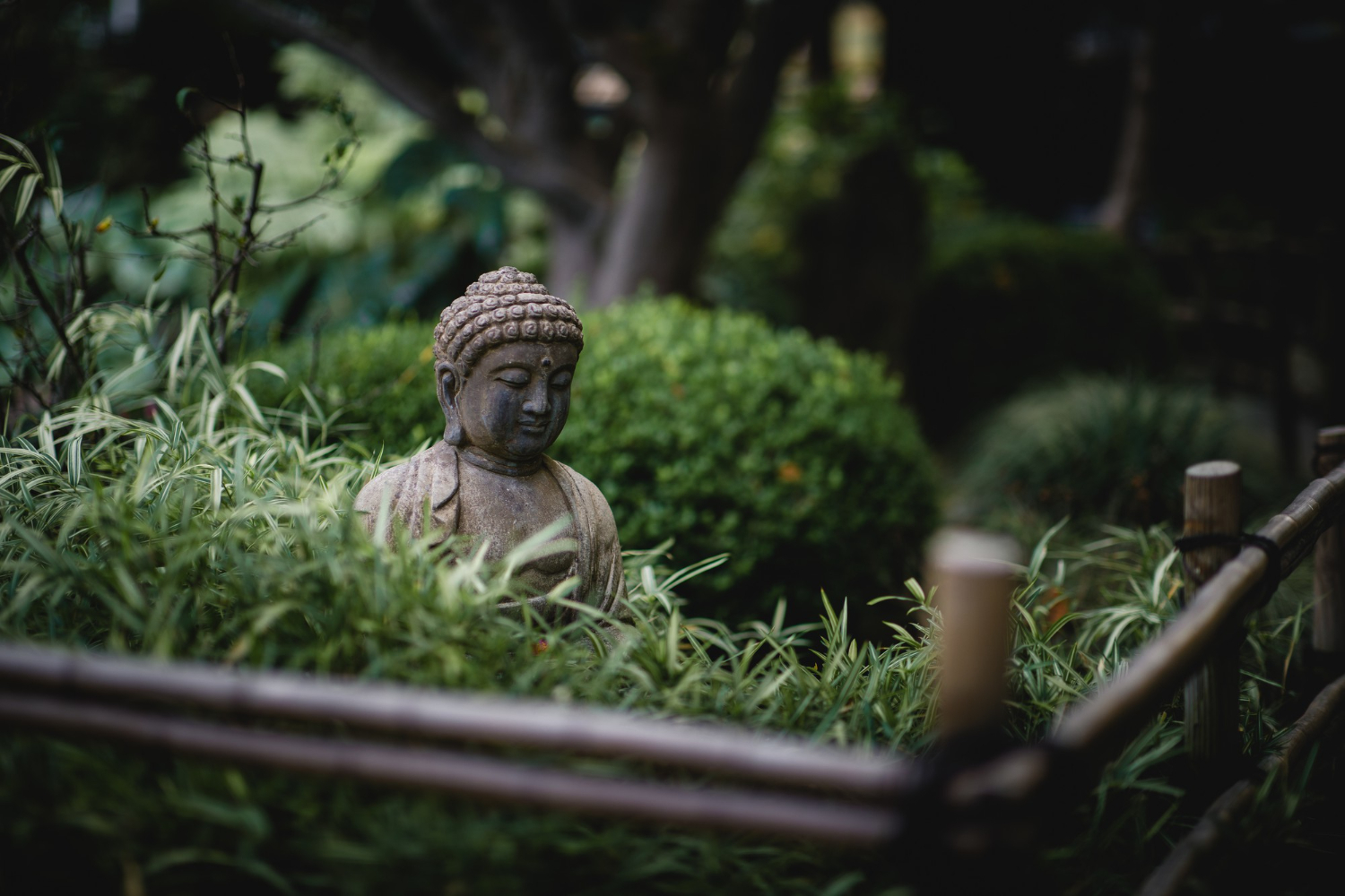 A stone Buddha statue in a garden
