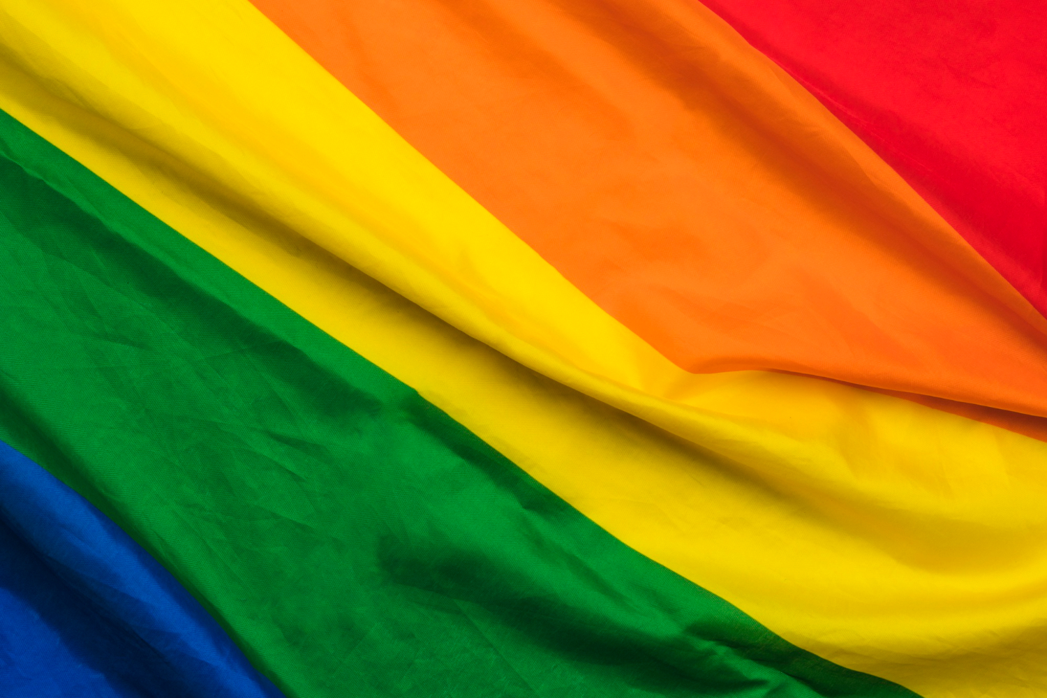 LGBTQIA+, Non-Binary & Trans